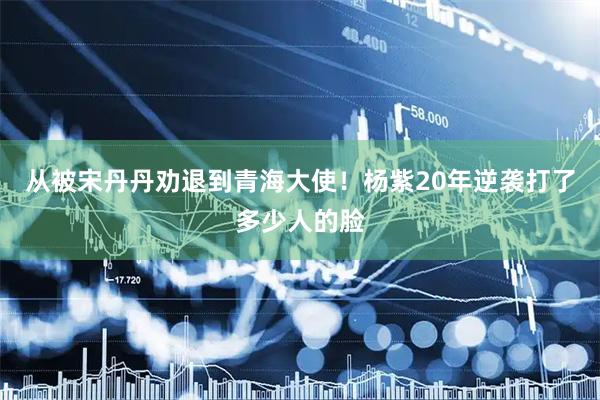 从被宋丹丹劝退到青海大使！杨紫20年逆袭打了多少人的脸