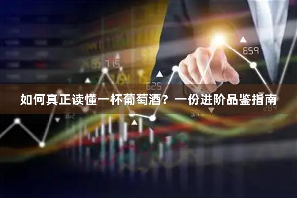 如何真正读懂一杯葡萄酒？一份进阶品鉴指南