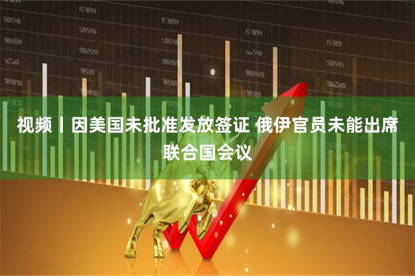 视频丨因美国未批准发放签证 俄伊官员未能出席联合国会议