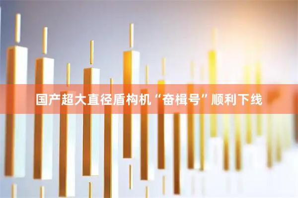 国产超大直径盾构机“奋楫号”顺利下线